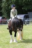 thornton-le-dale-gala showclass7acharity25-5-20179